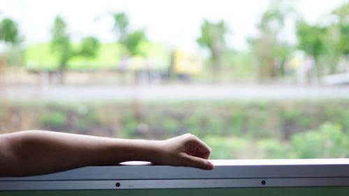 Cropped hand of person on window sill against trees