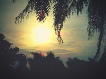 Silhouette of palm trees at sunset