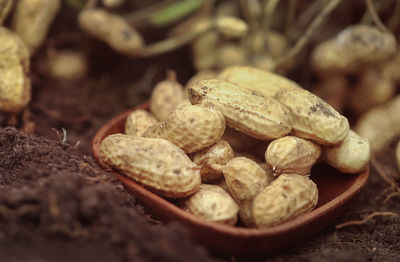 Close-up of peanuts