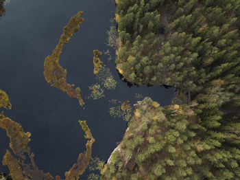 High angle view of trees by lake in forest against sky, a forest lake in finland