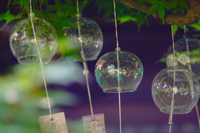 Close-up of bubbles in glass