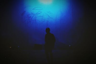 Rear view of silhouette man standing in aquarium