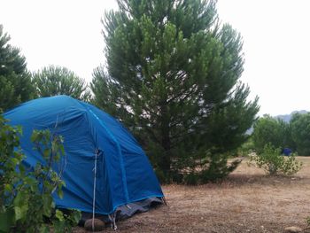 Tent by trees against clear sky