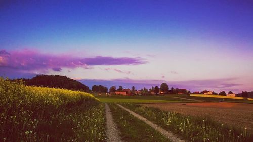 Scenic view of field against cloudy sky