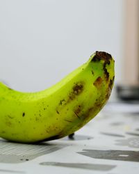 Close-up of yellow flower