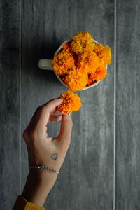 Close-up of hand holding orange flower