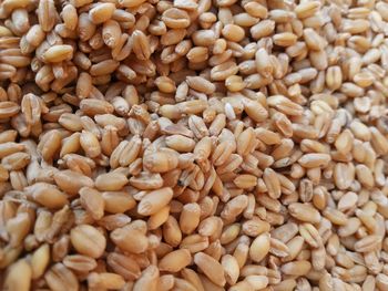 Full frame shot of wheat