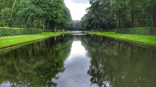 Scenic view of pond at park