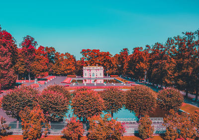 Trees and plants against buildings during autumn