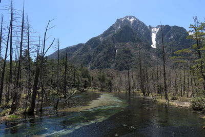 Scenic view of river and mountains against clear sky