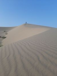 Standing in the top of sand dunes