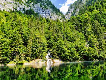 Scenic view of lake in forest during autumn