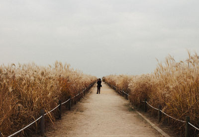 Man walking on road amidst grass