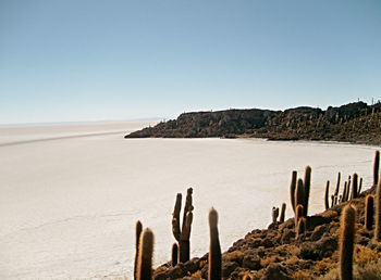 Scenic view of sea against clear sky