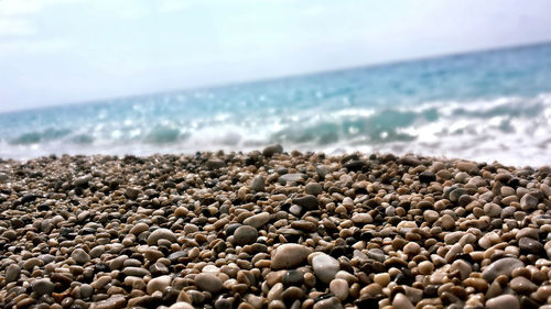 Close-up of sea shore against sky