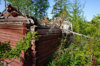 Abandoned built structure against trees