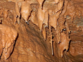 Close-up of mineral in cave