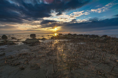 Scenic view of sea against cloudy sky