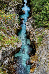 Stream flowing through rocks in forest