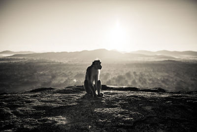 Monkey sitting on mountain against sky