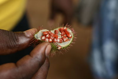 Close-up of hand holding fruit