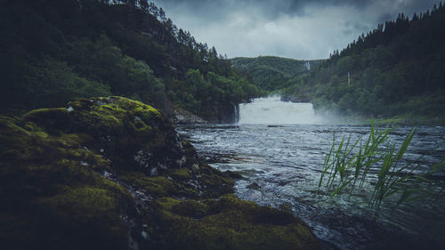 Scenic view of waterfall in forest against sky