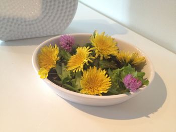 Close-up of yellow flowers