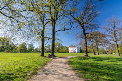 Dirt road amidst trees and buildings against sky