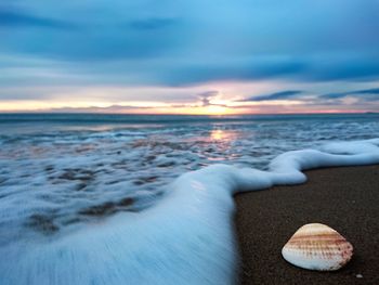 Scenic view of sea at sunset