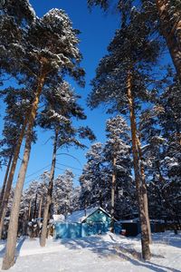 Trees on snow covered field against sky