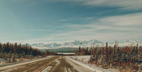 Road amidst plants against sky