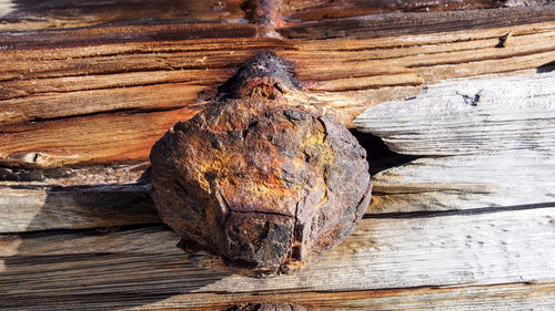 Close-up of rusty bolt mounted on wood