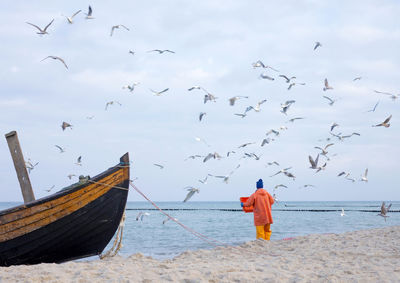 Low angle view of seagulls flying over beach and fisherman against sky