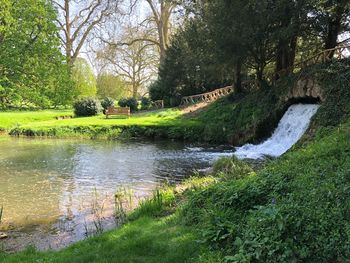 Scenic view of lake in park