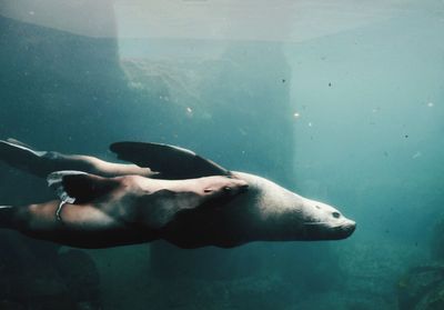 Close-up of man swimming in sea