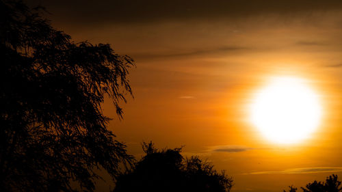 Low angle view of silhouette trees against romantic sky at sunset