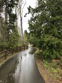 Road amidst trees in forest during rainy season