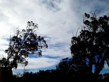 Low angle view of silhouette trees against sky