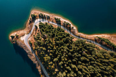 Aerial view of road by forest and lake in autumn