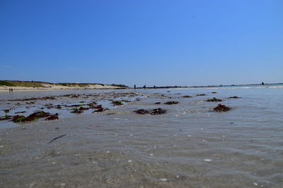 Scenic view of sea against clear blue sky