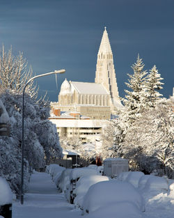 Snow covered trees against sky