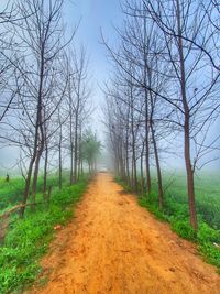 Dirt road amidst bare trees on field