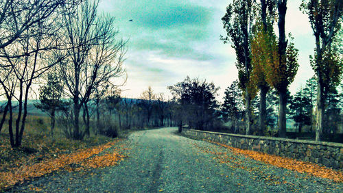 Road passing through field