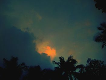 Low angle view of silhouette trees against sky during sunset