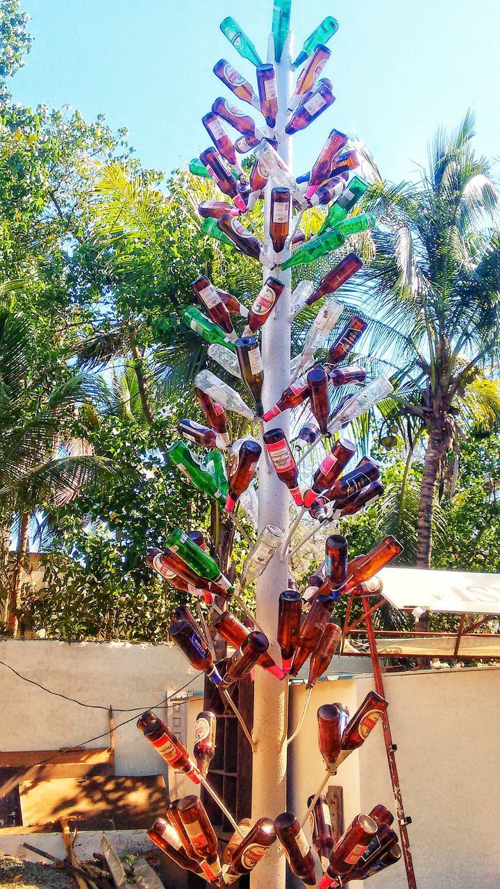 LOW ANGLE VIEW OF DECORATION HANGING FROM TREE