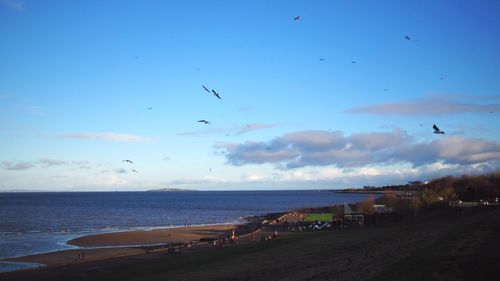 Birds flying over sea against sky