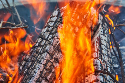 Close-up of fire