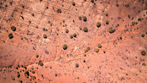 Full frame shot of desert land