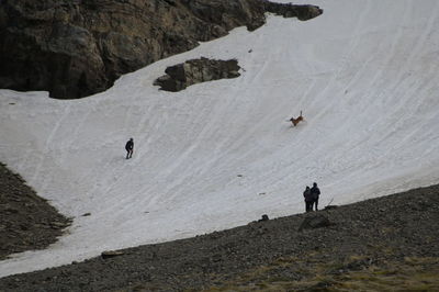 Rear view of man walking on mountain