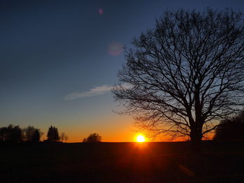 Silhouette bare tree against sky during sunset